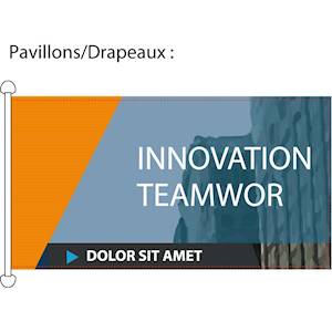 Sublimation sur maille drapeau et confection pavillon (renfort avec 2 anneaux PVC côtés gauche sur la hauteur de 150cm et couture sur les 3 autres côtés).
